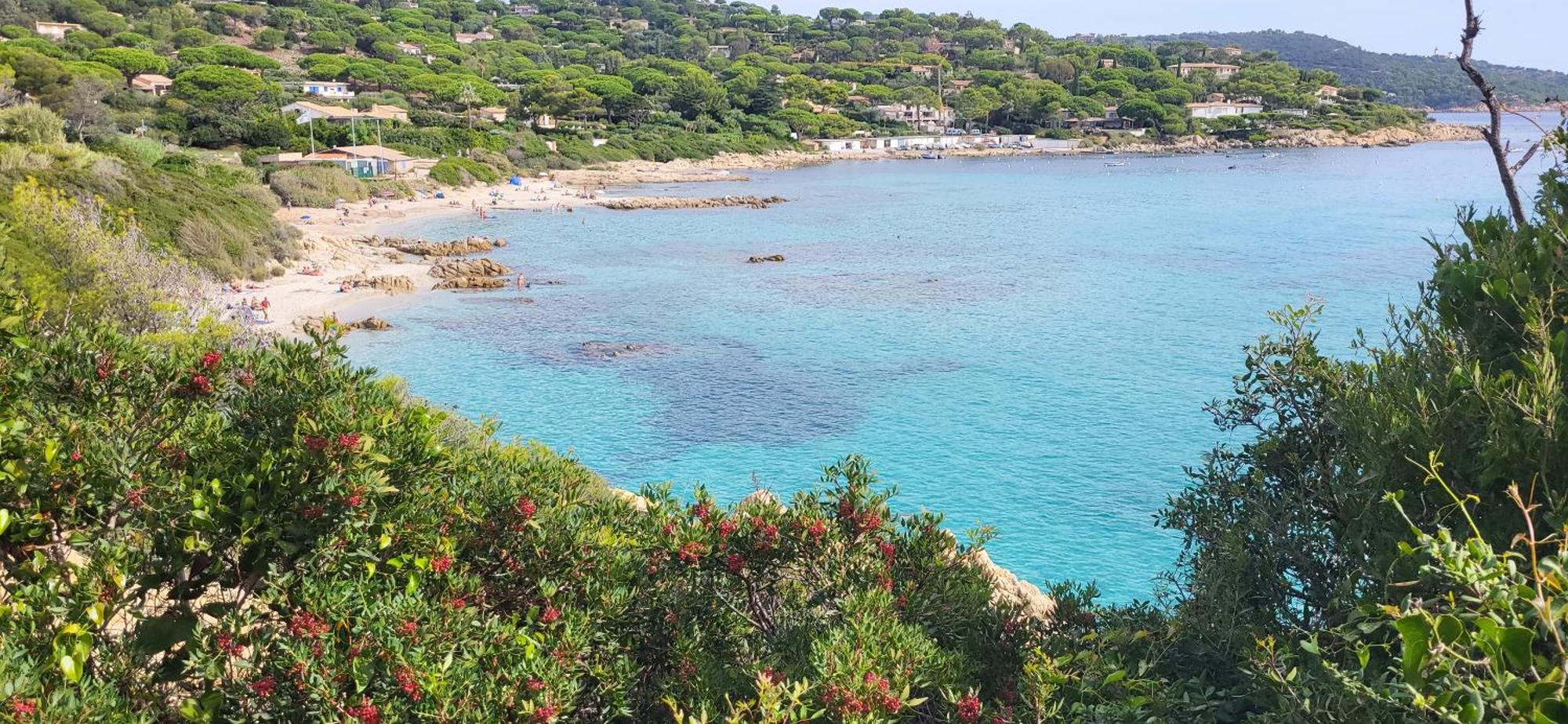 L'Aloe Vera Le Plan-de-la-Tour Экстерьер фото